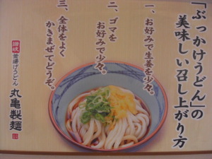 ぶっかけうどん